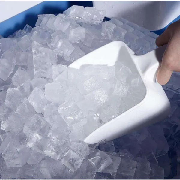 Shanghai 1Ton Cube Ice Maker Machine Manufactured in China photo-5