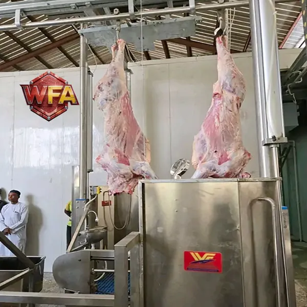 Bull HACCP Cattle Slaughter House Line Cow Butchery Equipment Abattoir Machinery Beef Processing Rail Plant Production Machine photo-4