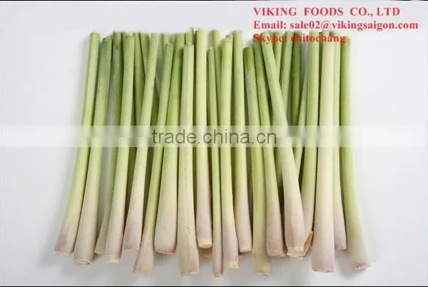 HOT PRODUCT 2016 FROZEN LEMONGRASS - HIGH QUALITY FROM VIETNAM photo-3
