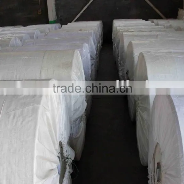 pp Woven Fabric