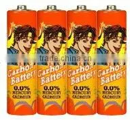R6 Battery