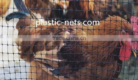 High Quality Plastic Plain Net for Poultry Fence photo-2