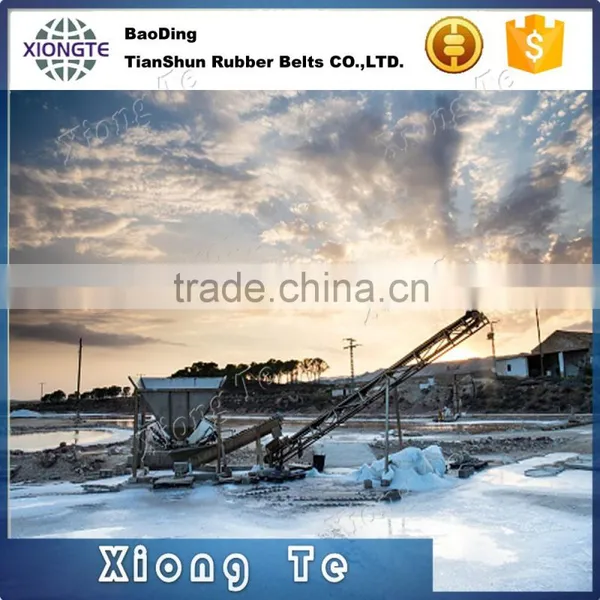 Transmission Rubber Ep Nn Polyester PVC Conveyor Belts photo-6