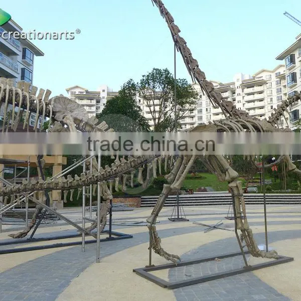 Outdoor Park Life Size Fiberglass Dinosaur Skeleton photo-2