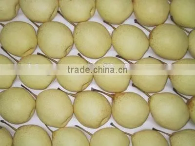 Supply Fresh Ya Pear With Good Quality for Sale photo-4