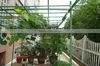 Iron Shelves for Plants