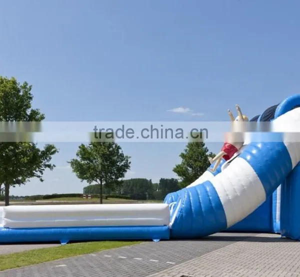 Color Customized Inflatable Water or Dry Slide / Special Design Inflatable Slide for Summer photo-3