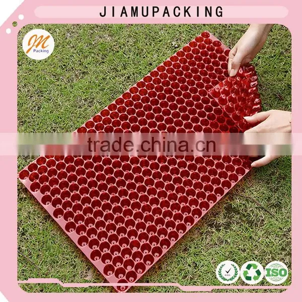 Transparent Vegetable Seed Starter Tray photo-5