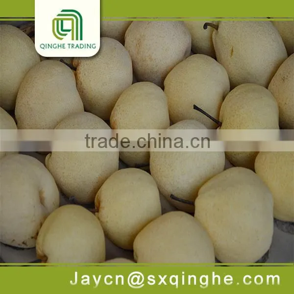 2015 New Asian su Pears Delicious Fruit