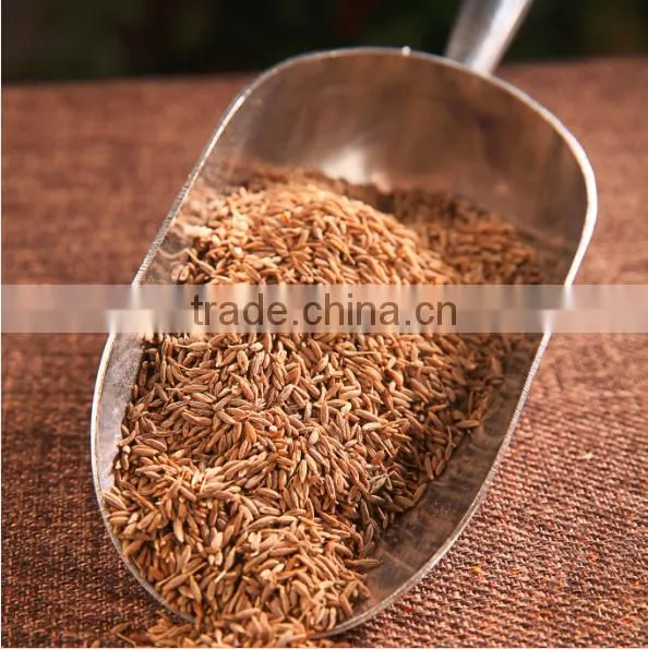 China Manufacturer Wholesale Fennel Powder Buying on photo-3