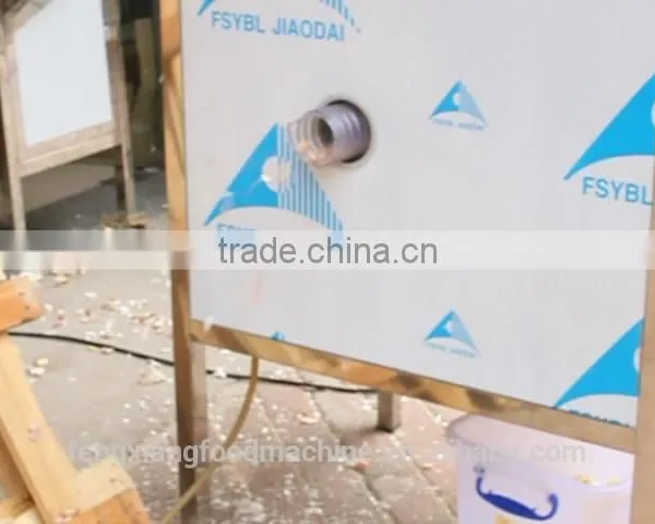 CE Approved Garlic / Small Onion / Indian Garlic Peeling Machine With New Condition photo-4