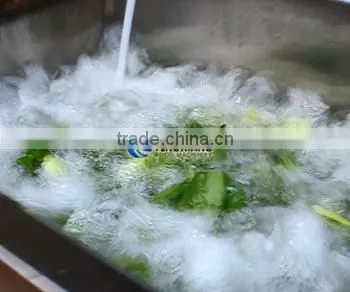 WA-2000 Commercial and Electric Type Fruits and Vegetable Washing Cleaning Machine With Rotating Drum photo-3