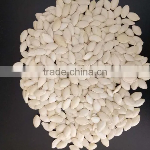 Export Shine Skin Pumpkin Seeds 2015 New Crop photo-5
