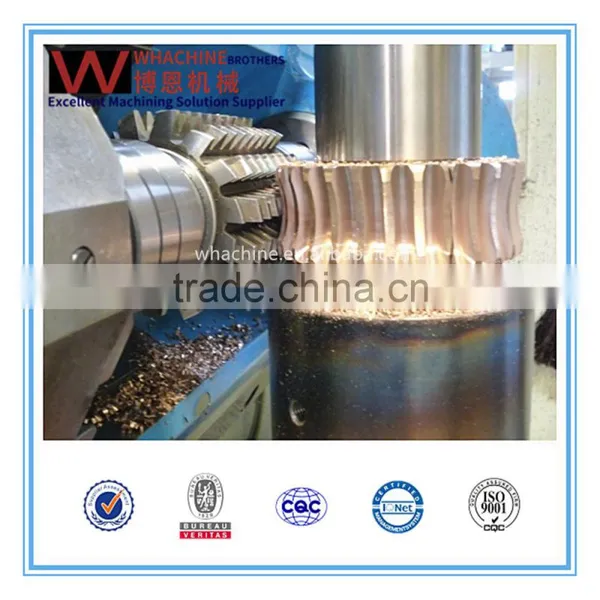 Professional Manufacturer Standard Reducer Worm Gear photo-6