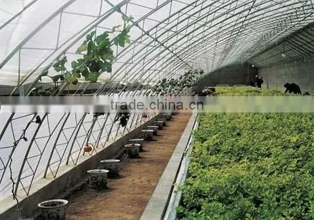 Low Cost Polycarbonate Agricultural Greenhouse photo-5