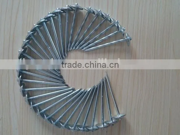 Galvanized Umbrella Head Smooth and Twisted Shank Roofing Nail From Nails Supplier photo-5