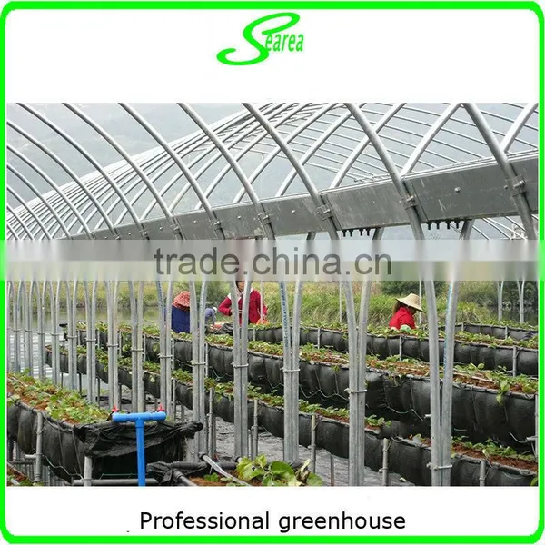 Multispan Tunnel Greenhouse for Flower photo-2