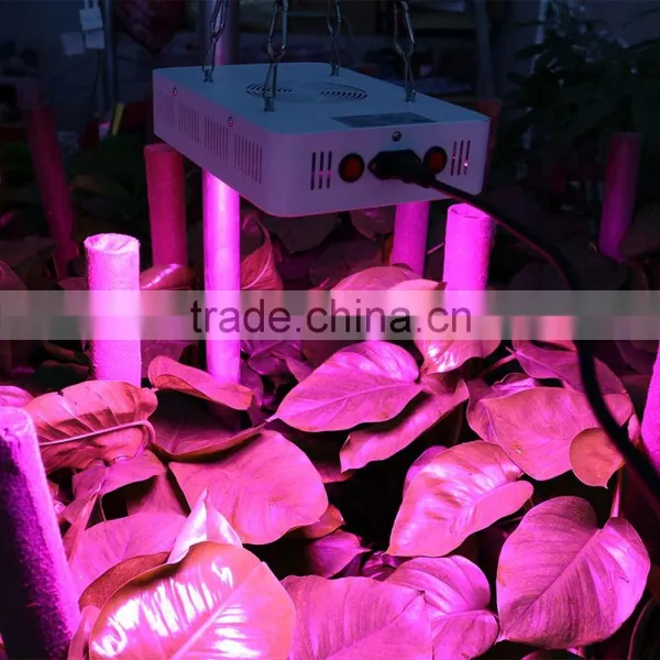 Led Grow Light With Veg/Bloom Spectrum for Hydroponic Indoor Greenhouse/garden Plant Growing photo-6