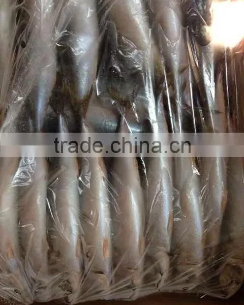 Frozen FIsh Mackerel Fish photo-2