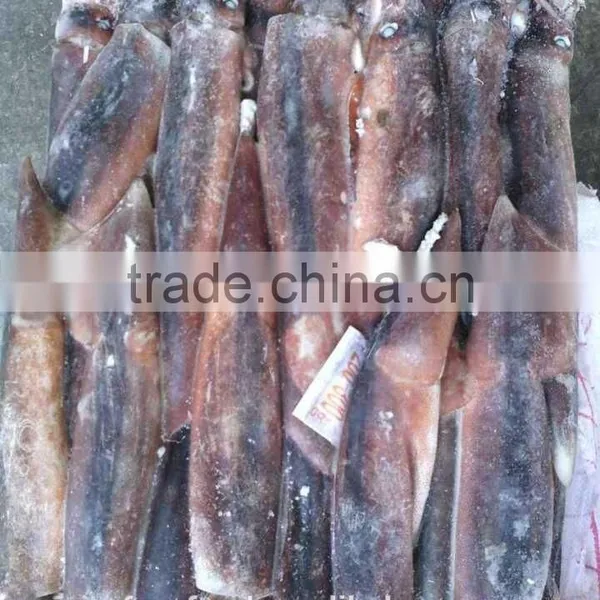 Frozen Seafood Illex Squid 200-300g photo-2