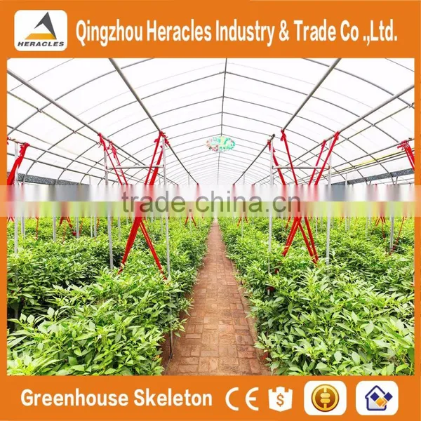 Heracles Trade Assurance Agricultural Tunnel Greenhouses photo-4