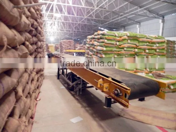 Best Indian Soyabean Seed photo-2