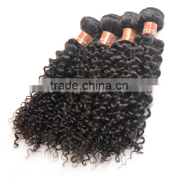 7A Grade Unprocessed Virgin Malaysian Curly Hair photo-2