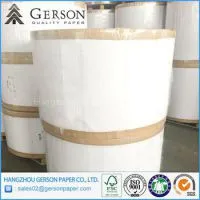 Paper Mill C1S Grey Back Duplex Board Made In China
