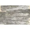 Dried Kelp