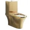 Stainless Steel One-piece Toilet