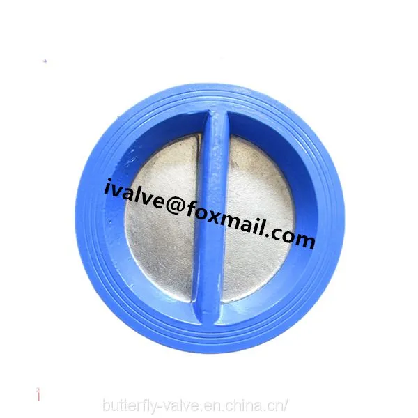 Cast Iron Double Door Check Valve