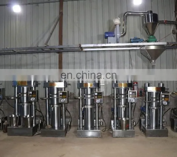 Hot Selling Oil Mill Machine in Afghanistan photo-7