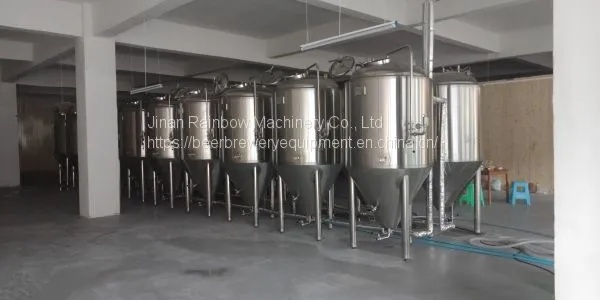 1000l Beer Brewing Fermenting Equipment