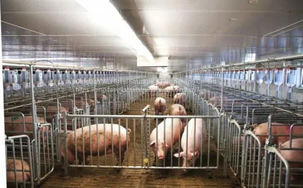 Low Cost Pig Farm House Building Construction Professional Design for Pig House photo-5