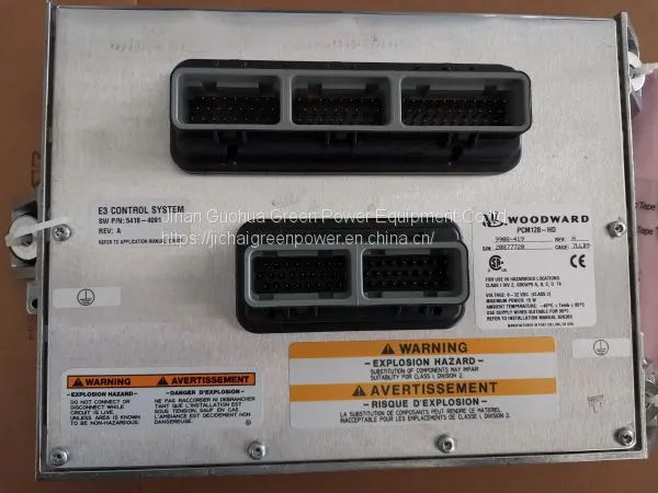 Co810f-3/22 Jinan Diesel Engine Parts Used in Oil Drilling Engine photo-4