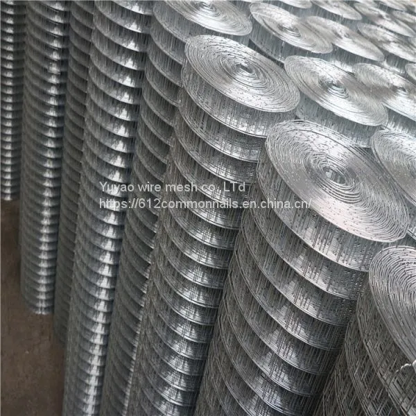 1/4 Pvc Coated Welded Wire Mesh/2'' Weled Wire Mesh Fence photo-2