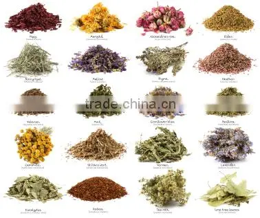 Superior Quality Avipattikar Churma At Your Door Step photo-3