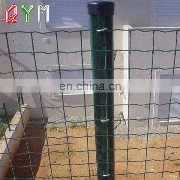 Galvanized and PVC Coated Euro Fence Welded Mesh Rolls photo-3