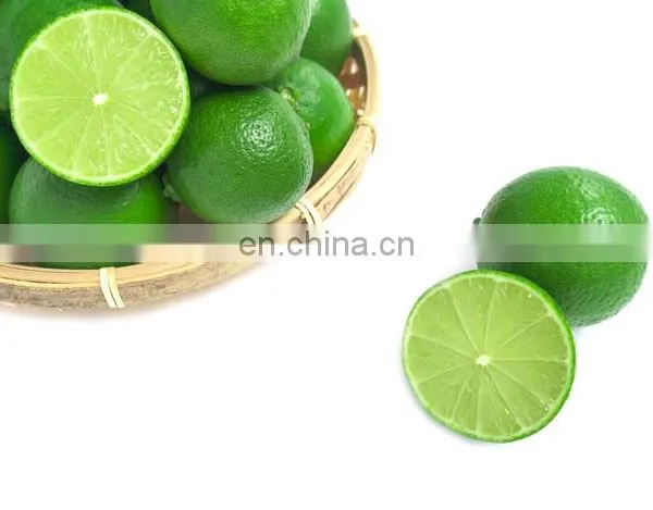 TOP FOOD FAMOUS FOR VIIET NAM GREEN LEMON HIGH QUALITY WITH BEST PRICE photo-3