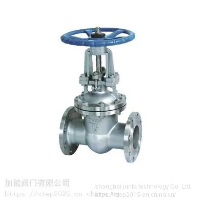 Carbon Steel Flanged Gate Valve photo-2