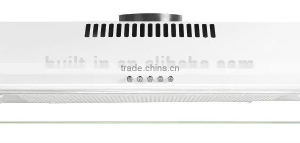 Chinese Kitchen Exhaust Range Hood With Fashion Design photo-3