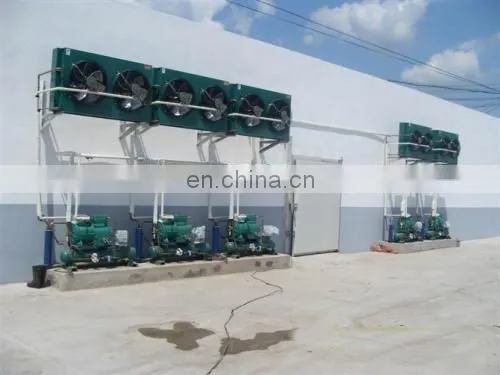 2019 Halal Chicken Slaughtering Machine photo-3