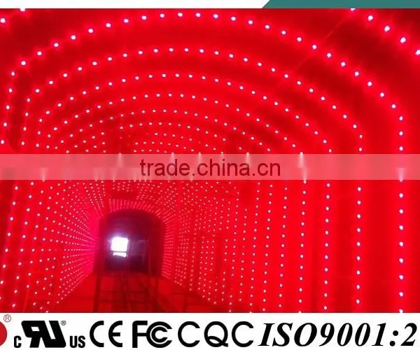 YD CE UL Approved IP68 Amusement Rgb Led photo-4