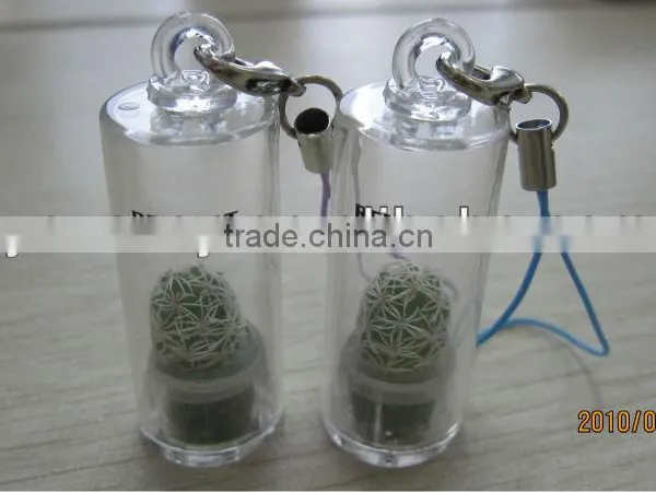 Pet Tree Keychain Mini Pet Plant photo-2