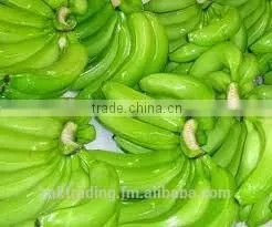 Fresh Banana photo-3