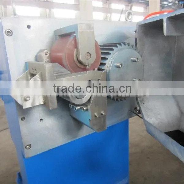 Pet Flakes Pelletizing Machine photo-6