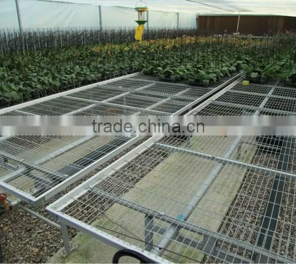 Agricultural Greenhouse Mobile Bench
