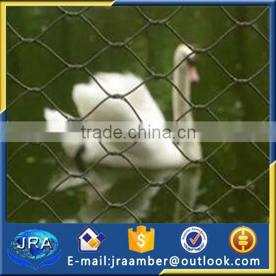 ss Bird Netting /zoo Aviaries /bird Aviary Cage Netting photo-3