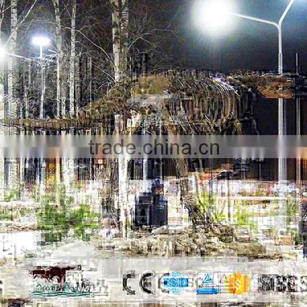 Jrassic Park Realistic Dinosaur Skeleton For Sale photo-3