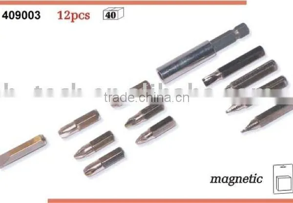12pcs bit sets.